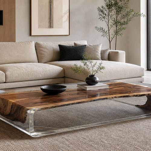 Transparent Epoxy River Coffee Table for Modern Living Room