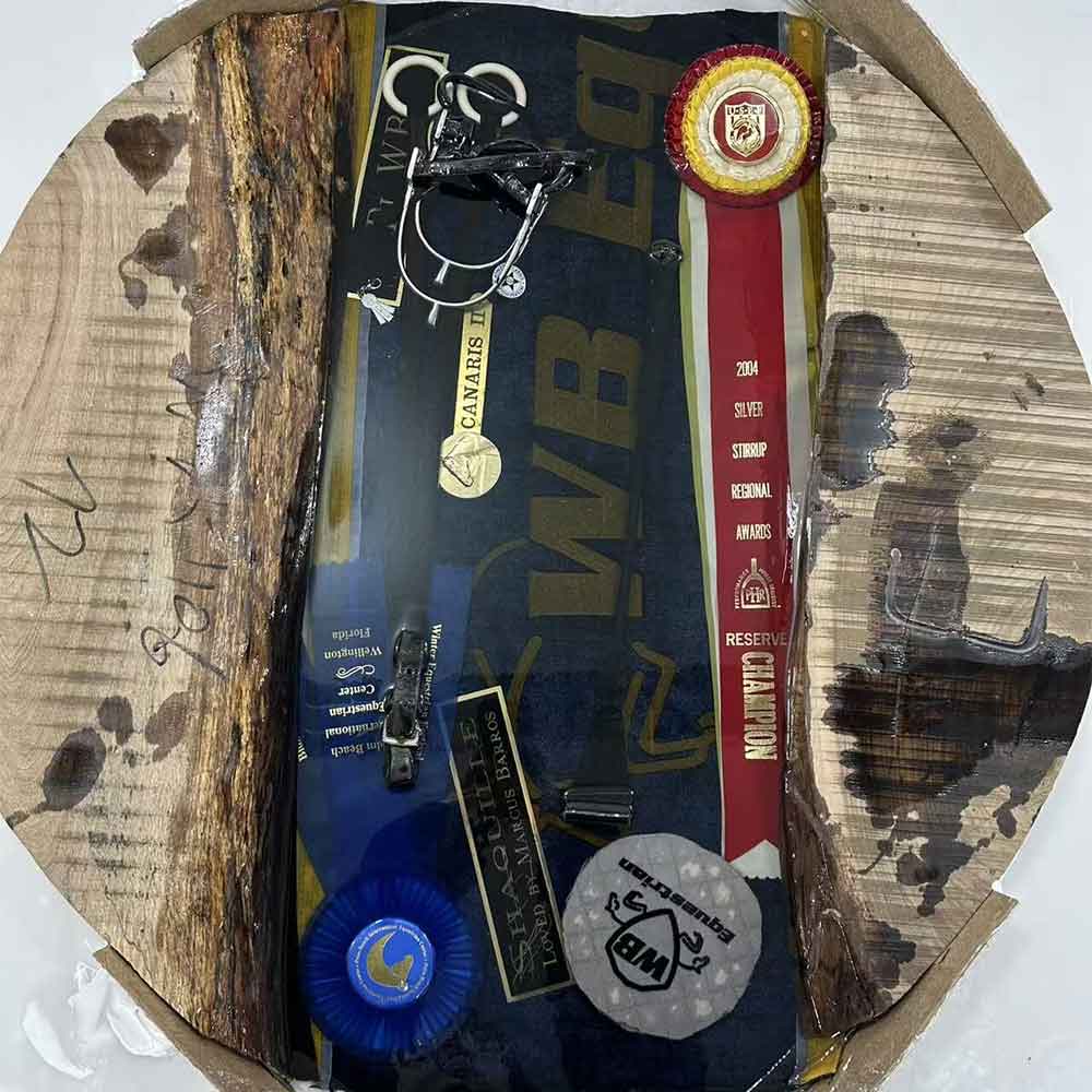 Sally’s Equestrian-Themed Coffee Table