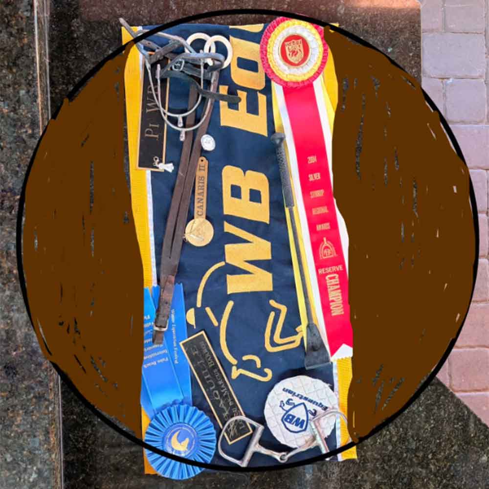 Sally’s Equestrian-Themed Coffee Table