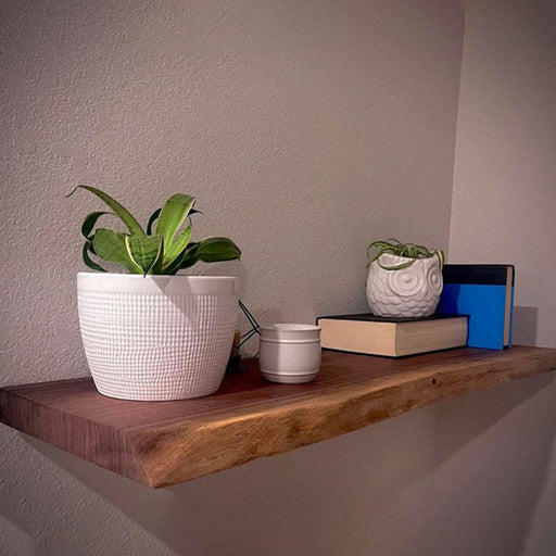 Wooden shelf with potted plants and books against a plain wall