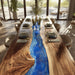luxury wooden blue epoxy dinning table for american homes in miami