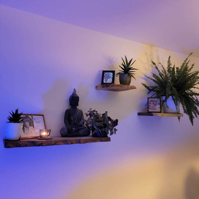 Decorative wall with shelves featuring a Buddha statue, plants, and framed pictures.