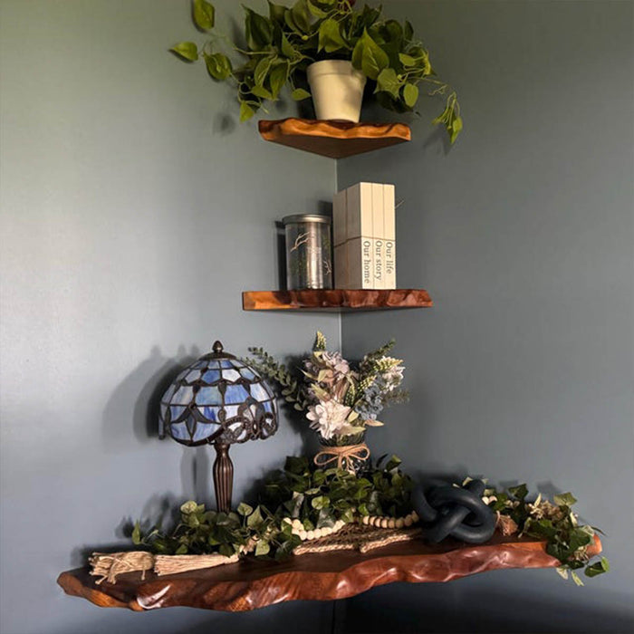 Decorative corner shelf with books, a lamp, and plants against a gray wall.