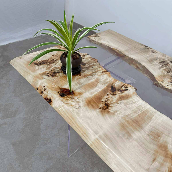 Wooden coffee table with a plant on top in a minimalistic setting