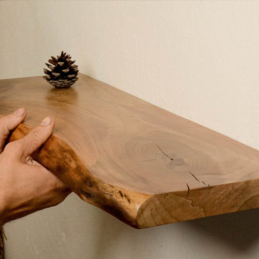 Hand holding a wooden shelf with a pine cone on a plain background