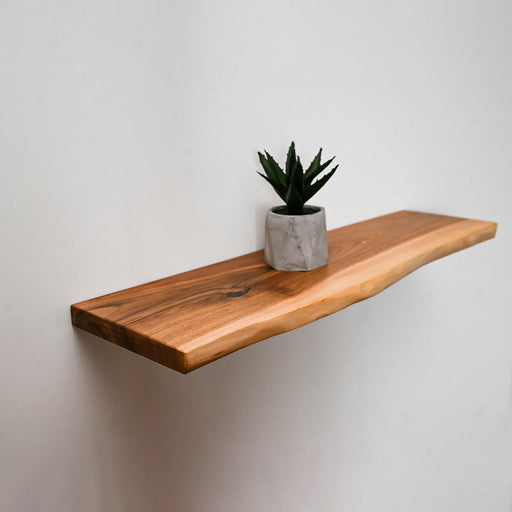Wooden shelf with a potted plant on a plain wall