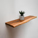 Wooden shelf with a potted plant on a plain wall
