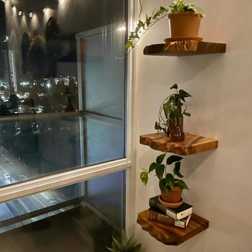 Wooden corner shelves with plants and books against a cityscape at night.