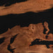 Close-up of a wooden surface with natural grain and texture on a dark background