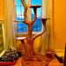 Wooden cat tree with multiple platforms in a room with a window and curtains.